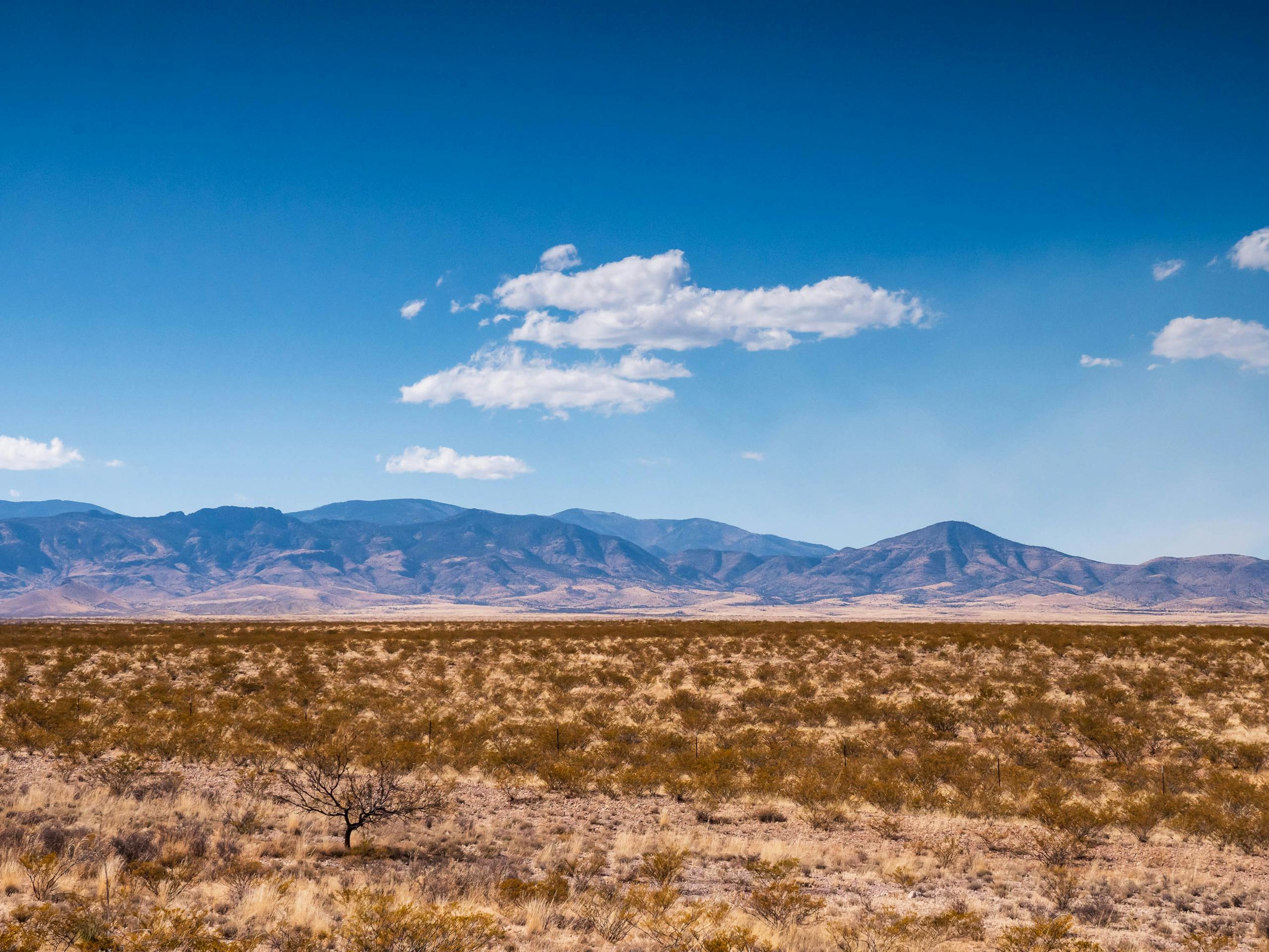 Vast desert landscape with brush and distant mountains under a clear blue sky in New Mexico.